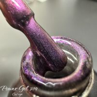 Power Gel | לק ג'ל 219