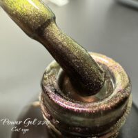 Power Gel | לק ג'ל 220