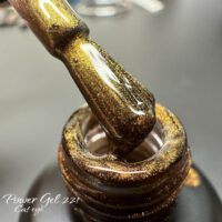 Power Gel | לק ג'ל 221