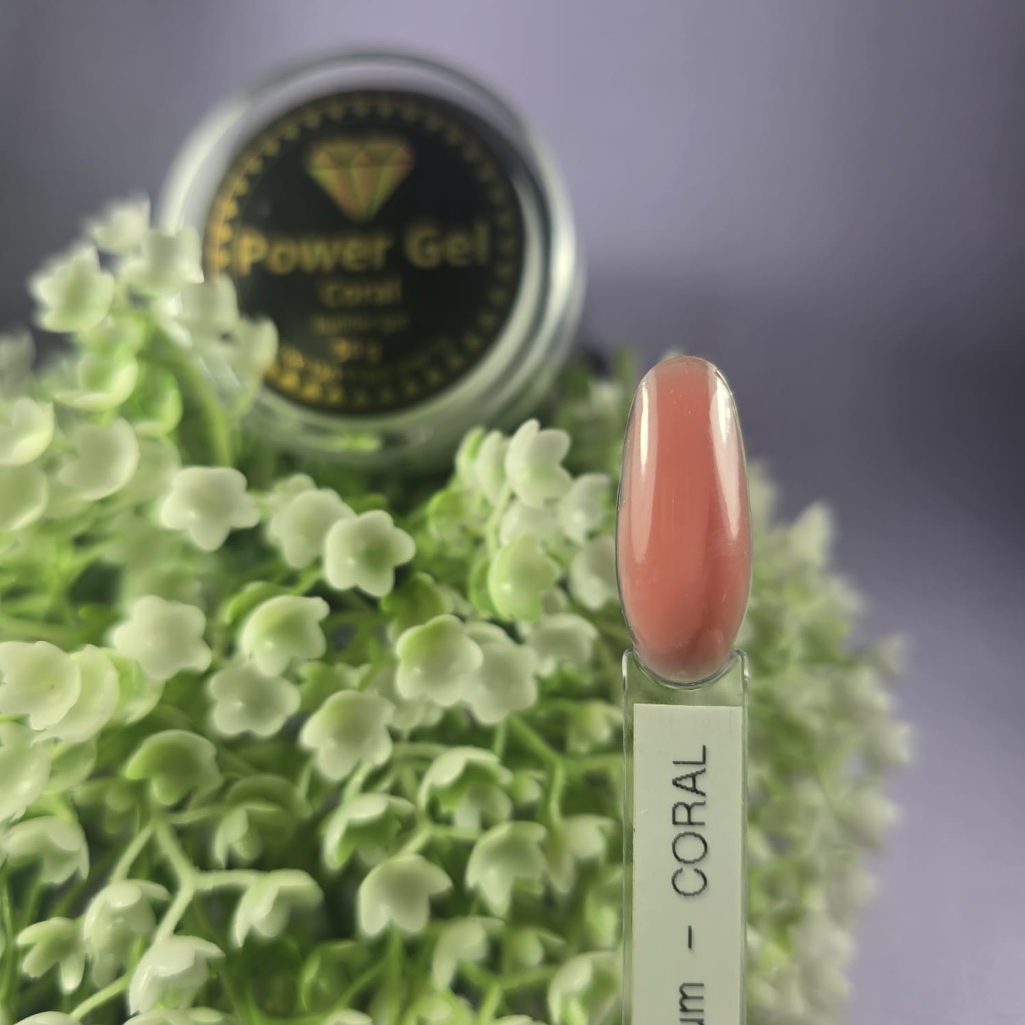 PG | ג'ל בניה סמיכות בינונית | Coral | Medium Consistency Product