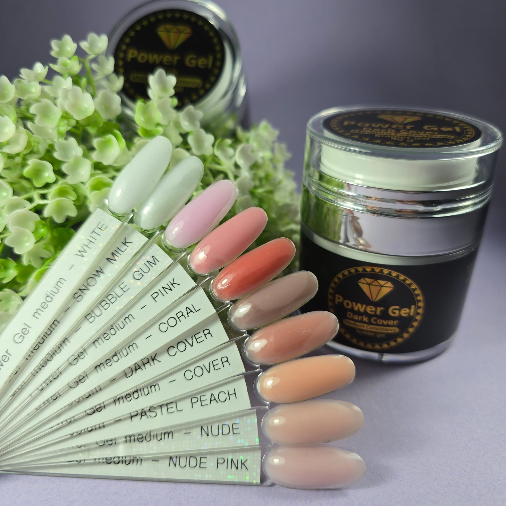 PG | ג'ל בניה סמיכות בינונית | Coral | Medium Consistency Product